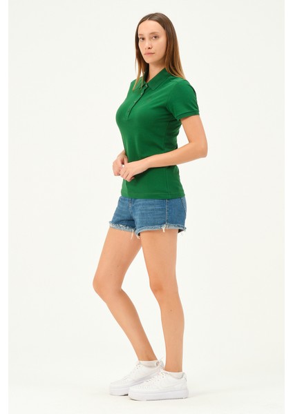 Kadın Regular Fit Polo Yaka Tshirt modelleri