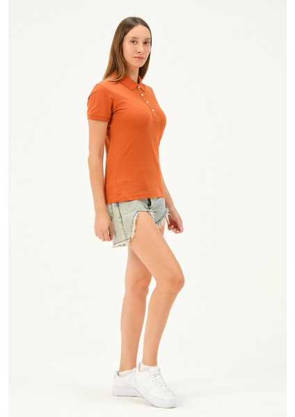 Kadın Regular Fit Polo Yaka T-Shirt fiyatları