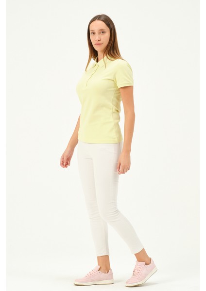 Kadın Regular Fit Polo Yaka T-Shirt fiyatları