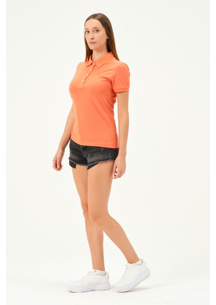 Kadın Regular Fit Polo Yaka T-Shirt fiyatları
