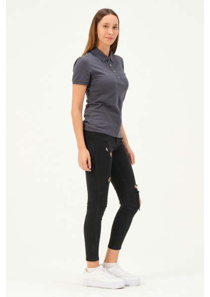 Kadın Regular Fit Polo Yaka T-Shirt fiyatları