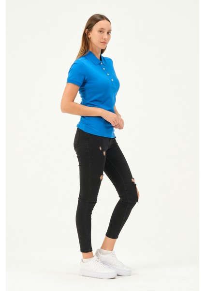 Kadın Regular Fit Polo Yaka T-Shirt fiyatları