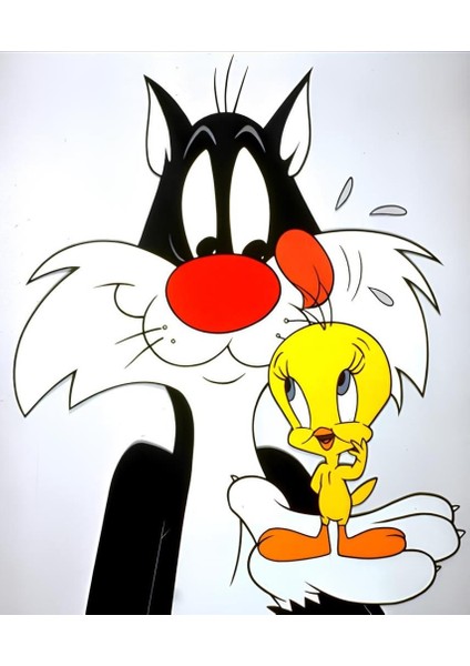 Sylvester ve Tweety - WarnerBros | Elmas Mozaik Puzzle | 40x50 | E20204050