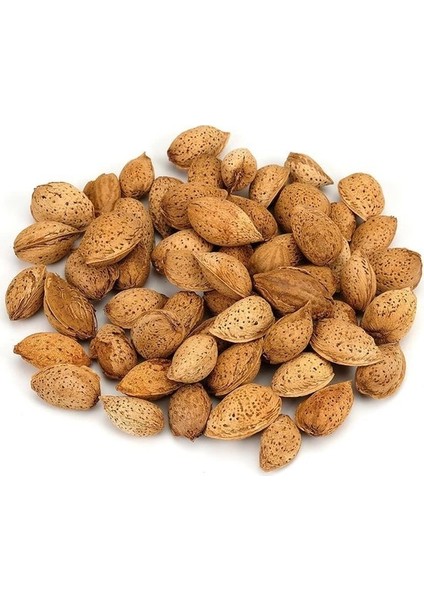 Kabuklu Badem Ince Kabuk 500 gr fiyatları