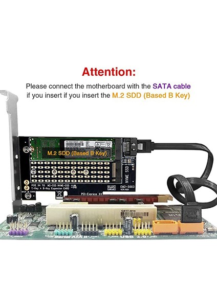 Pcı-E X4 Adaptör Kartı Desteği M-Key Nvme B-Key Sata SSD Adaptör Kartı (Yurt Dışından) fiyatları
