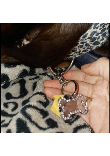 12PCS Yüzüklü Pet Kimlik Etiketi Tutucu Pet Yaka (Yurt Dışından) modelleri