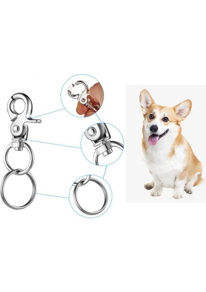 12PCS Yüzüklü Pet Kimlik Etiketi Tutucu Pet Yaka (Yurt Dışından) fırsatları