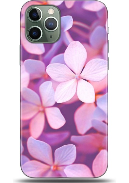 Apple iPhone 11 Pro Kılıf Hd Baskılı Kılıf - Followed Institution 0314