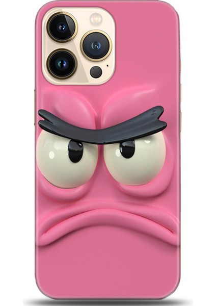 Apple iPhone 13 Pro Max Kılıf Hd Baskılı Kılıf - Followed Institution 0053