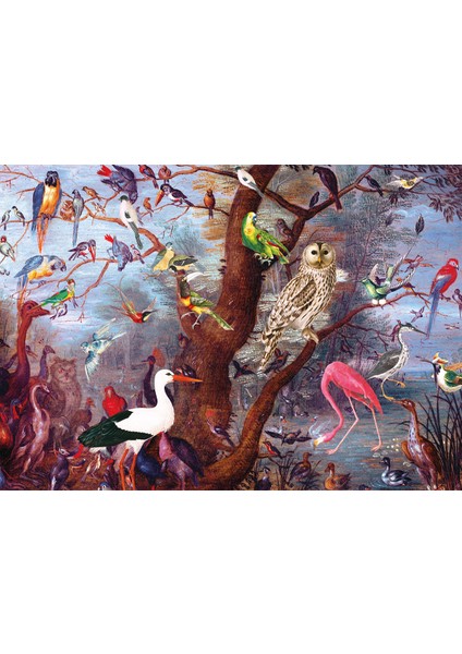 Fascinating Birds 2000 Parça Puzzle