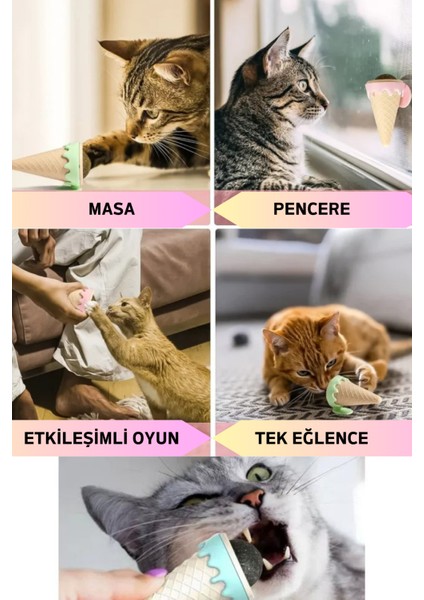 Yapışkanlı Catnip Kediler Için Ağız Bakımı Kedi Diş Sağlığı Diş Taşı Engelleyici Nane Topu