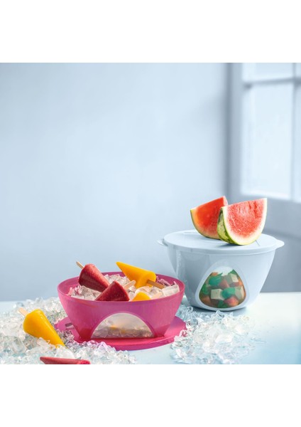 Tutku Servis Kabı 2.5l Pembe
