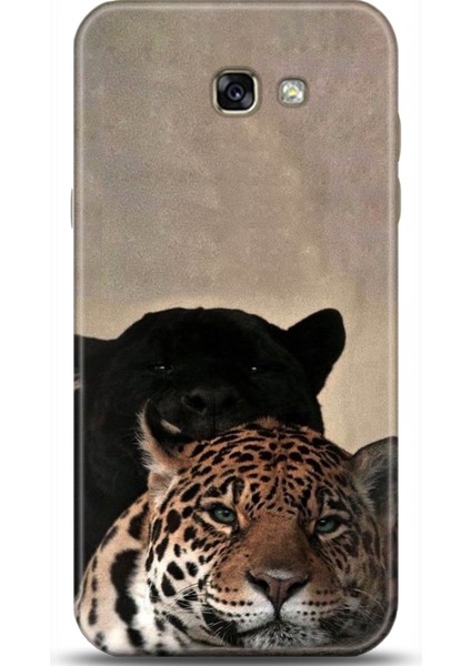 Samsung Galaxy A5 2017 Kılıf Hd Baskılı Kılıf - Followed Institution 0681