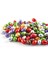 Elit Chocoeggy Yumurta 1 kg- Karışık Meyve Dolgulu Şeker 1 kg 2'li Set Glutensiz 4