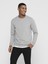 Ceres Life Crew Neck Erkek Gri Sweatshirt 1