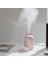 Lovely Humidifier Ortam Dezenfeksiyon ve Şık Buhar Makinesi Pembe 1