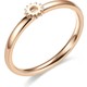  Renk Rose Gold