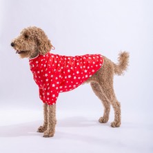 Pawstar Stars Red Peluşlu Su Geçirmez Orta-Büyük Irk Köpek Yağmurluğu