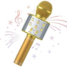 Pastime Karaoke Mikrofon Bluetoothlu Hafıza Kartı USB Bellek ve Aux Girişli Gold