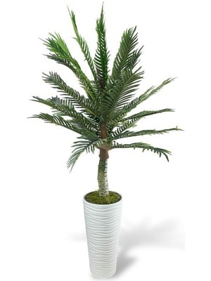 Nettenevime Yapay Ağaç Coco Palmiye Ağacı Beyaz Kumsal Vazoda 190*80 cm