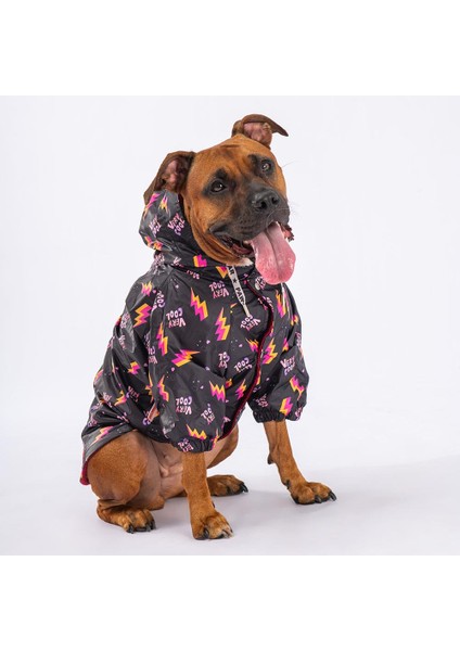 Cool Polarlı Su Geçirmez Orta-Büyük Irk Köpek Yağmurluğu
