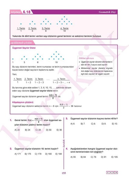 12. Sınıf Biyoloji-Matematik Konu Anlatımı Mps (Modüler Piramit Sistemi)