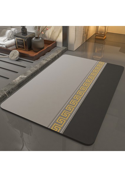 Stil 2 40X60 cm Diatomit Emici Kaymaz Banyo Paspas Banyo Duş Halı Halı Çabuk Kuruyan Tuvalet Paspaslar Giriş Paspas Yıkanabilir Halı (Yurt Dışından) fırsatları