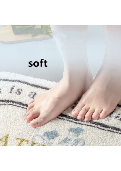Renk B 80X100CM Ins Stil Banyo Paspas Yumuşak Emici Banyo Duş Mat Kaymaz Halı Zemin Halı Oturma Odası Balkon Giriş Alanı Halıları 4 Boyut (Yurt Dışından) indirimleri