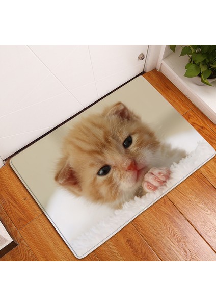 BJW-4060-211010(42) 500MMX800MM 1 Adet Sevimli Kedi Hayvanlar Desen Kaymaz Süet Halı Paspas Paspas Açık Mutfak Oturma Odası Zemin Mat Halı Ev Dekor (Yurt Dışından)