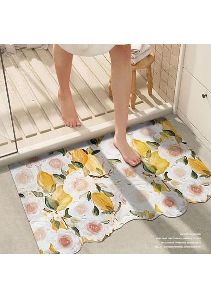 Renk E 30X50CM Diatom Çamur Banyo Paspas Süper Emici Banyo Duş Zemin Mat Kaymaz Giriş Paspas Tuvalet Halısı Modern Stil Halı (Yurt Dışından)