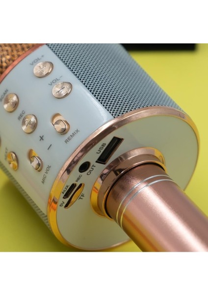 Karaoke Mikrofon Bluetoothlu Hafıza Kartı USB Bellek ve Aux Girişli Gold