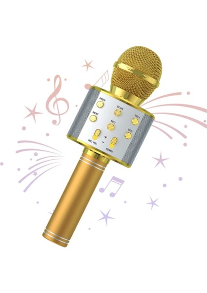 Karaoke Mikrofon Bluetoothlu Hafıza Kartı USB Bellek ve Aux Girişli Gold