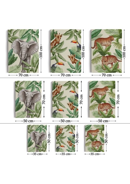 3’lü Tablo Vahşi Hayvanlar Temalı Koleksiyon Dekoratif Duvar Tablo Seti-Av-23