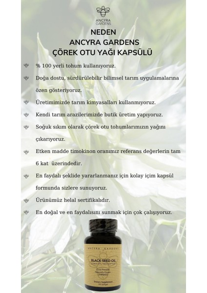 Çörek Otu Yağı Kapsülü Soğuk Sıkım 1000 mg 60 Çörekotu Yağı Kapsülü 4'lü Paket