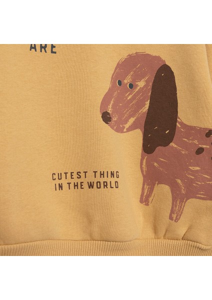 Forest Camp Sweatshirt-Patiksiz Alt Erkek Bebek