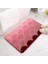 Pink1 50X80 cm (20X31 Inç) Degrade Renk Akın Banyo Paspasları Kaymaz Emici Ayak Pedi Duş Kapı Paspasları Mikrofiber Banyo Halıları Ev Giriş Zemin Pedi (Yurt Dışından) 1