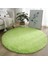 Açık Yeşil 80CM Kaymaz Kabarık Halı Modern Ev Dekor Peluş Büyük Shaggy Kilim Paspaslar Kanepe Oturma Yatak Odası Başucu Mat Balkon Halıları (Yurt Dışından) 1