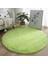 Açık Yeşil 80CM Kaymaz Kabarık Halı Modern Ev Dekor Peluş Büyük Shaggy Kilim Paspaslar Kanepe Oturma Yatak Odası Başucu Mat Balkon Halıları (Yurt Dışından) 3