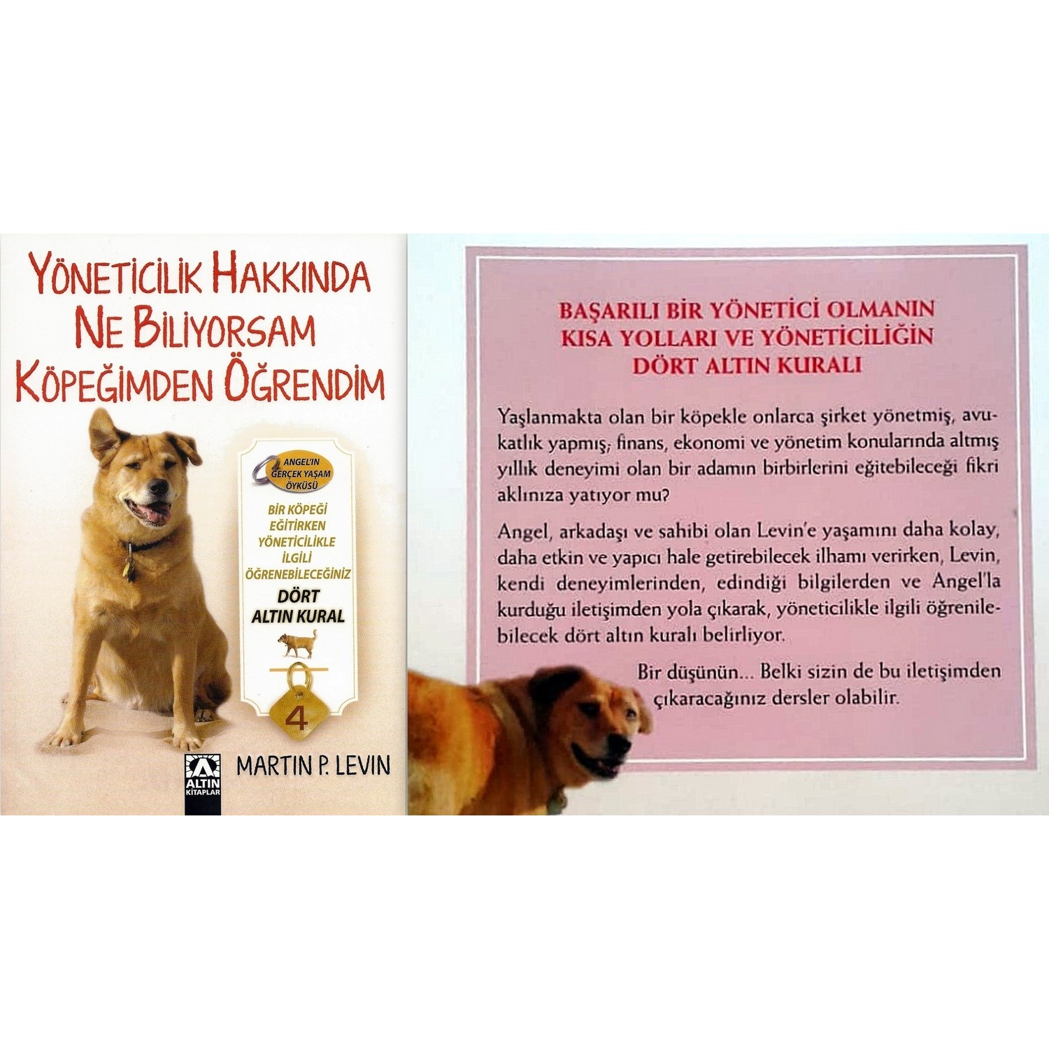 Elma Yayinevi Kisisel Gelisim 5 Kitap Set Kitabi Ve Fiyati