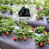 ABK PLASTİK Çilek Mulch 130CM