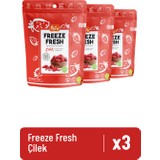 Freeze Fresh 3'lü Freeze Dry Dondurularak kurutulmuş Çilek 3x15 Gr