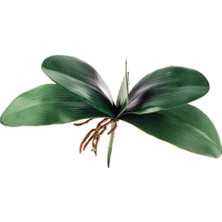Nettenevime Yapay Çiçek Orkide Yaprağı Doğal Görünüm