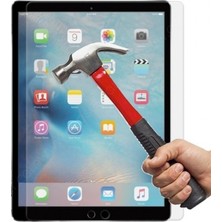 Essleena iPad Mini 5.nesil (2019) 7.9" (A2124/A2125/A2126/A2133) Steel 9h Kırılmaz Cam Nano Ekran Koruyucu