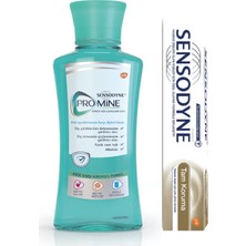 Sensodyne Tam Koruma Diş Macunu 50 ml + Promine Ağız Çalkalama Suyu 250 ml