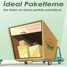 Fidan Sepetim Saksı Değişim Kiti