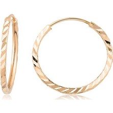 İryum 14 Ayar Kalemli Halka Küpe Rose (Çapı: 1.8cm) W4E35036