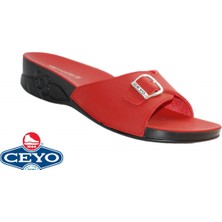 Ceyo Ceyo, Flora-6 (35-41), Anatomik, Kadın Terlik, 2 Renk