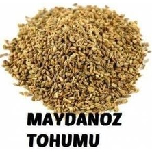 Paşa Tohumculuk Kışlık Tohum Paketi Maydanoz Tohumu 50 gr, Roka Tohumu 50gr , Tere Tohumu 50 gr, Ispanak Tohumu 50 gr