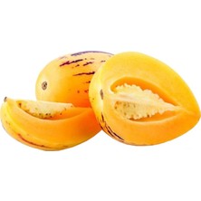Meyve Ağacım Pepino