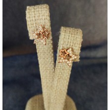 Adal Silver Kadın 925 Ayar Gümüş Rose Star Küpe